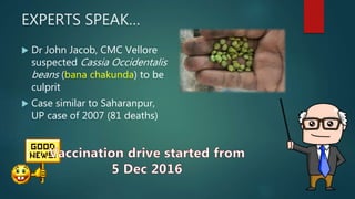 EXPERTS SPEAK…
 Dr John Jacob, CMC Vellore
suspected Cassia Occidentalis
beans (bana chakunda) to be
culprit
 Case similar to Saharanpur,
UP case of 2007 (81 deaths)
 