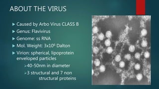 ABOUT THE VIRUS
 Caused by Arbo Virus CLASS B
 Genus: Flavivirus
 Genome: ss RNA
 Mol. Weight: 3x106 Dalton
 Virion: spherical, lipoprotein
enveloped particles
40-50nm in diameter
3 structural and 7 non
structural proteins
 