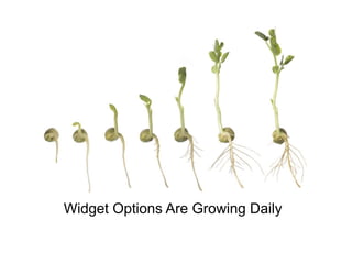 Widget Options Are Growing Daily 
 