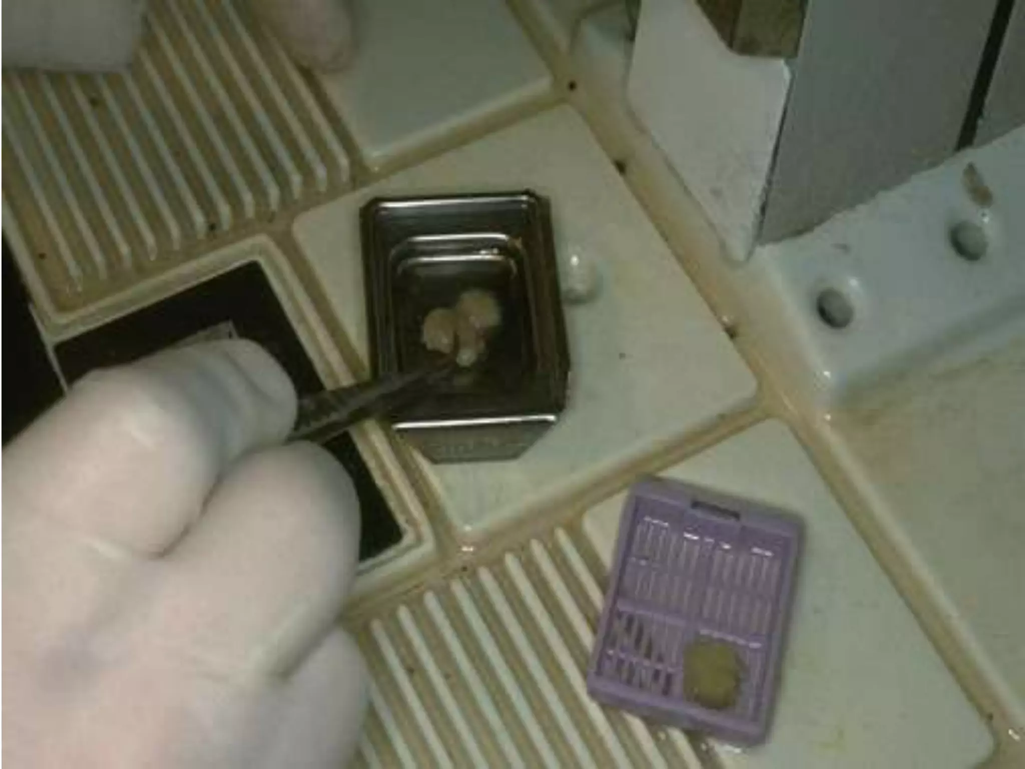 Fixatives used in histopathology