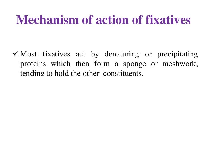 Fixatives used in histopathology