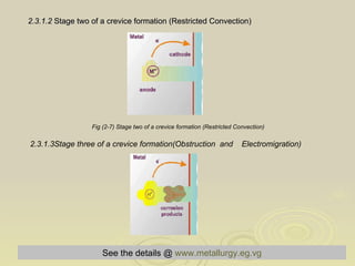 2.3.1.2   Stage two of a crevice formation (Restricted Convection) Fig (2-7) Stage two of a crevice formation (Restricted Convection)   2.3.1.3Stage three of a crevice formation(Obstruction  and  Electromigration)   Fig (2-8)   Stage three of a crevice formation(Obstruction and Electromigration)   See the details @   www.metallurgy.eg.vg 