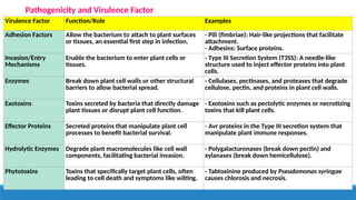 HITESH Pathogenicity and Virulence Factors of Phytobacteria.pptx