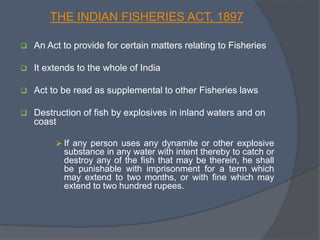 THE INDIAN FISHERIES ACT, 1897
 An Act to provide for certain matters relating to Fisheries
 It extends to the whole of India
 Act to be read as supplemental to other Fisheries laws
 Destruction of fish by explosives in inland waters and on
coast
 If any person uses any dynamite or other explosive
substance in any water with intent thereby to catch or
destroy any of the fish that may be therein, he shall
be punishable with imprisonment for a term which
may extend to two months, or with fine which may
extend to two hundred rupees.
 