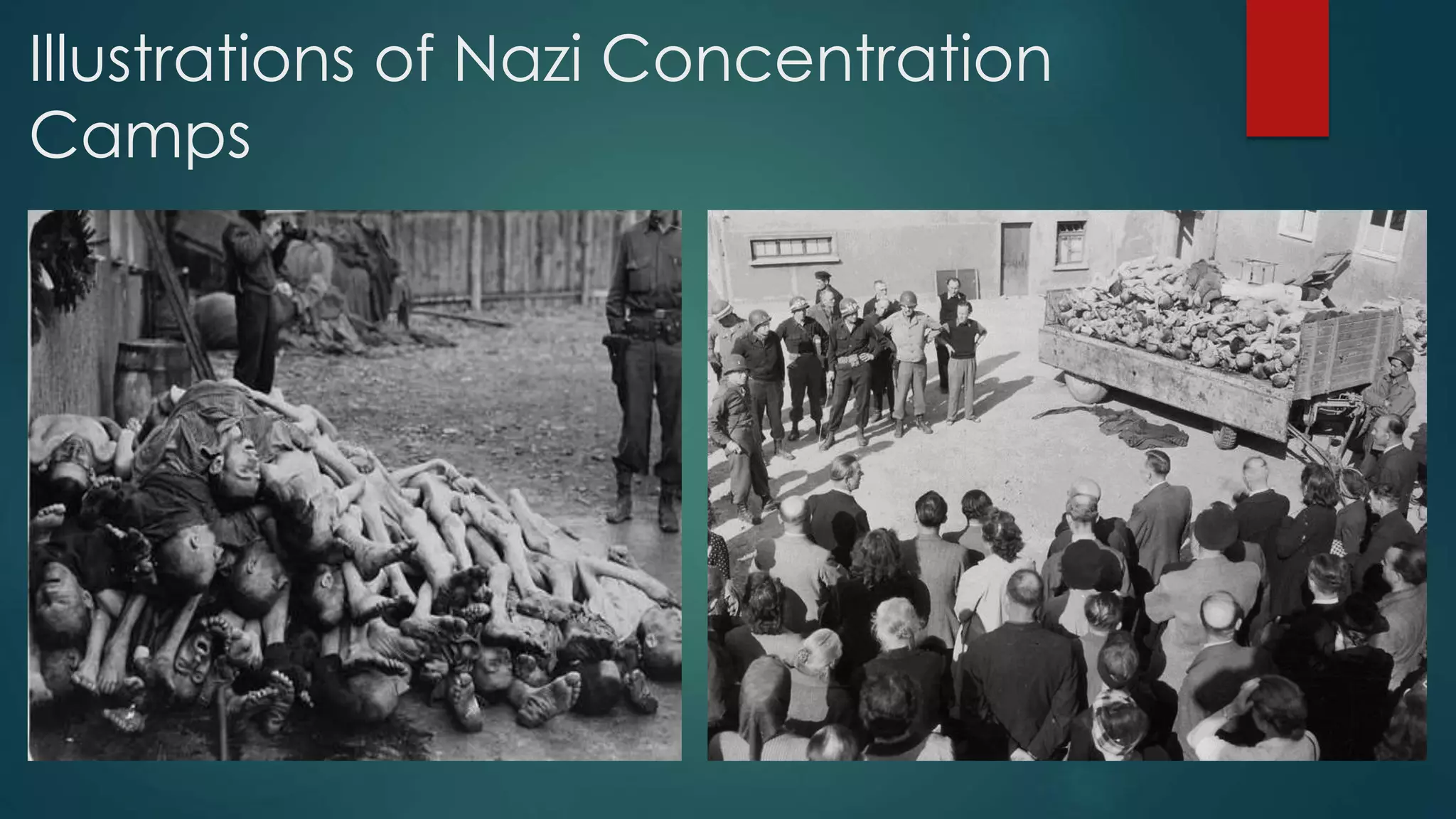 Illustrations of Nazi Concentration
Camps
 