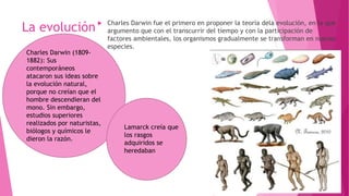 La evolución  Charles Darwin fue el primero en proponer la teoría dela evolución, en la que
argumento que con el transcurrir del tiempo y con la participación de
factores ambientales, los organismos gradualmente se transforman en nuevas
especies.
Charles Darwin (1809-
1882): Sus
contemporáneos
atacaron sus ideas sobre
la evolución natural,
porque no creían que el
hombre descendieran del
mono. Sin embargo,
estudios superiores
realizados por naturistas,
biólogos y químicos le
dieron la razón.
Lamarck creía que
los rasgos
adquiridos se
heredaban
 