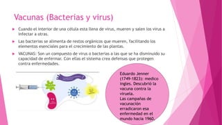 Vacunas (Bacterias y virus)
 Cuando el interior de una célula esta llena de virus, mueren y salen los virus a
infectar a otras.
 Las bacterias se alimenta de restos orgánicos que mueren, facilitando los
elementos esenciales para el crecimiento de las plantas.
 VACUNAS: Son un compuesto de virus o bacterias a las que se ha disminuido su
capacidad de enfermar. Con ellas el sistema crea defensas que protegen
contra enfermedades.
Eduardo Jenner
(1749-1823): medico
ingles. Descubrió la
vacuna contra la
viruela.
Las campañas de
vacunación
erradicaron esa
enfermedad en el
mundo hacia 1960.
 
