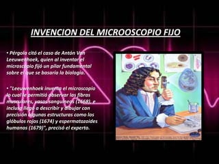 INVENCION DEL MICROOSCOPIO FIJO
• Pérgola citó el caso de Antón Van
Leeuwenhoek, quien al inventar el
microscopio fijó un pilar fundamental
sobre el que se basaría la biología.
• "Leeuwenhoek inventa el microscopio
lo cual le permitió observar las fibras
musculares, vasos sanguíneos (1668), e
incluso llegó a describir y dibujar con
precisión algunas estructuras como los
glóbulos rojos (1674) y espermatozoides
humanos (1679)", precisó el experto.

 