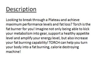 Hit supplements torch