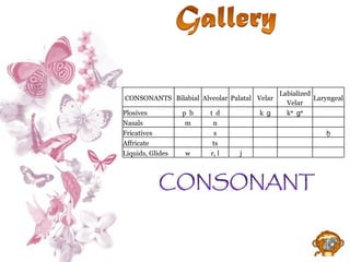CONSONANTS Bilabial Alveolar Palatal Velar Labialized Velar Laryngeal Plosives p  b t  d   k  ɡ kʷ  ɡʷ   Nasals m n         Fricatives   s       ḫ Affricate   ts         Liquids, Glides w r, l j       