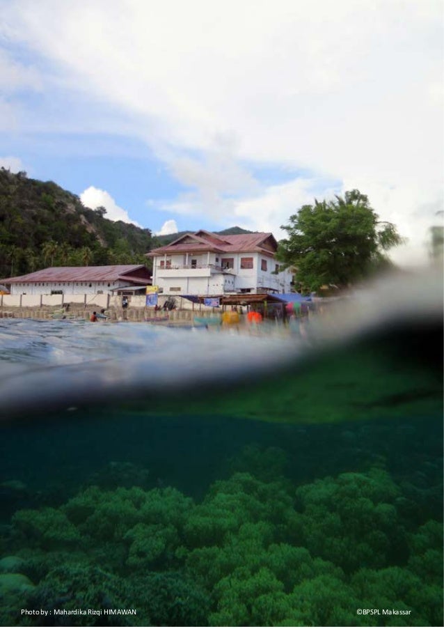 Hiu Paus Batubarani Gorontalo Indonesia