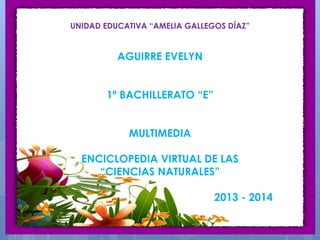 UNIDAD EDUCATIVA “AMELIA GALLEGOS DÍAZ”
AGUIRRE EVELYN
1º BACHILLERATO “E”
MULTIMEDIA
ENCICLOPEDIA VIRTUAL DE LAS
“CIENCIAS NATURALES”
2013 - 2014
 
