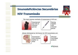 Imunodeficiências Secundárias
HIV-Transmissão
 