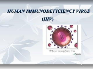 HUMAN IMMUNODEFICIENCY VIRUSHUMAN IMMUNODEFICIENCY VIRUS
((HIVHIV))
 