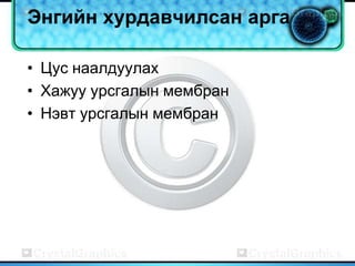 Энгийн хурдавчилсан арга

• Цус наалдуулах
• Хажуу урсгалын мембран
• Нэвт урсгалын мембран
 