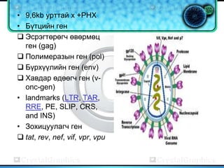 • 9,6kb урттай х +РНХ
• Бүтцийн ген
 Эсрэгтөрөгч өвөрмөц
  ген (gag)
 Полимеразын ген (pol)
 Бүрхүүлийн ген (env)
 Хавдар өдөөгч ген (v-
  onc-gen)
• landmarks (LTR, TAR,
  RRE, PE, SLIP, CRS,
  and INS)
• Зохицуулагч ген
 tat, rev, nef, vif, vpr, vpu
 