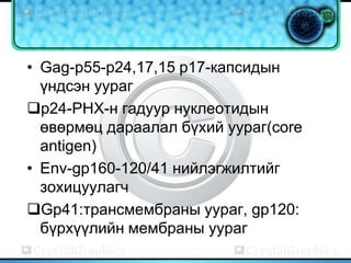 • Gag-p55-p24,17,15 p17-капсидын
  үндсэн уураг
p24-РНХ-н гадуур нуклеотидын
  өвөрмөц дараалал бүхий уураг(core
  antigen)
• Env-gp160-120/41 нийлэгжилтийг
  зохицуулагч
Gp41:трансмембраны уураг, gp120:
  бүрхүүлийн мембраны уураг
 