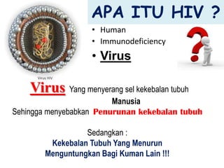 APA ITU HIV ?
                   • Human
                   • Immunodeficiency
                   • Virus

    Virus Yang menyerang sel kekebalan tubuh
                         Manusia
Sehingga menyebabkan Penurunan kekebalan tubuh

                 Sedangkan :
        Kekebalan Tubuh Yang Menurun
       Menguntungkan Bagi Kuman Lain !!!
 