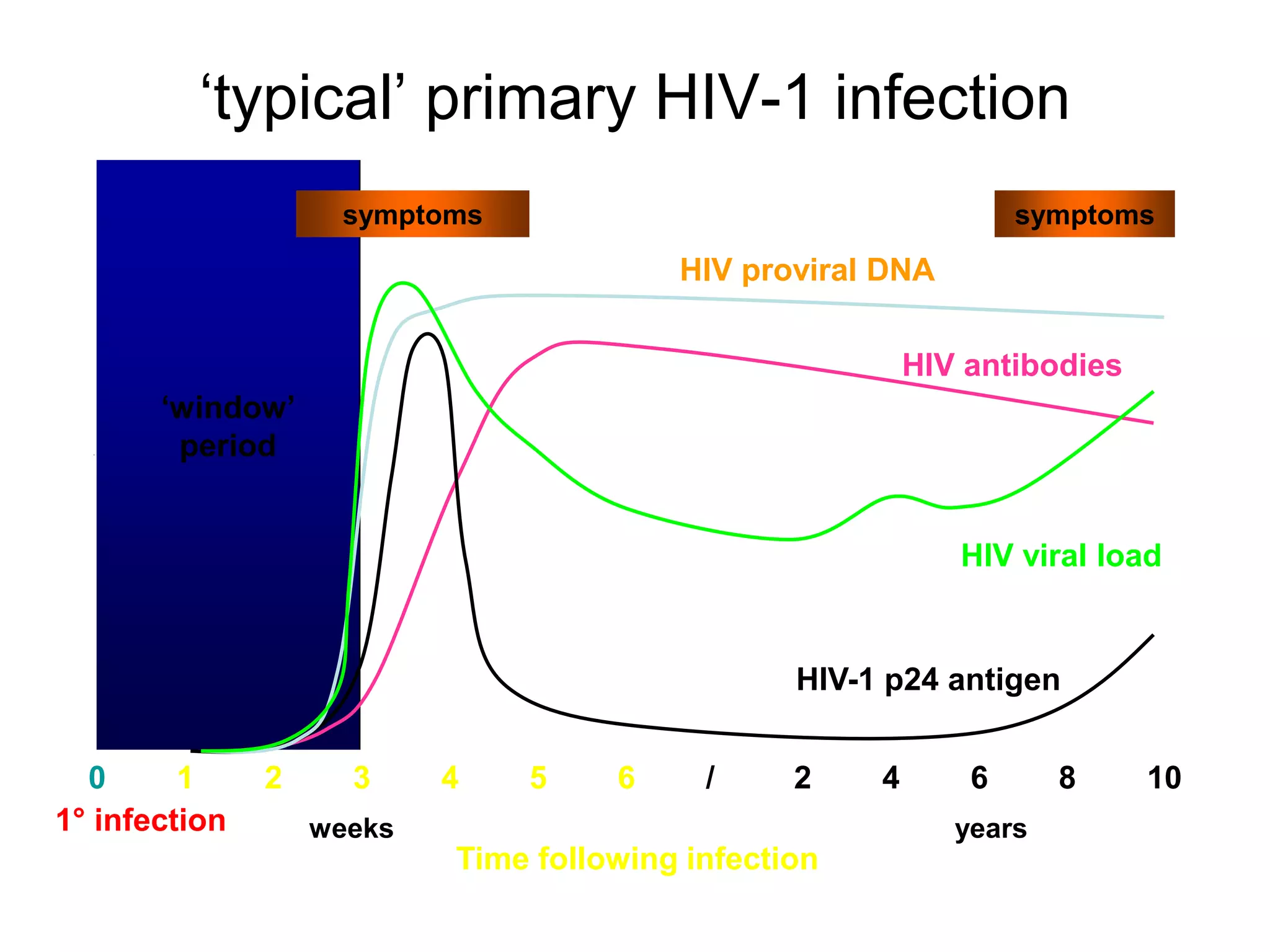 ‘typical’ primary HIV-1 infection
symptoms
HIV-1 p24 antigen
0 1 2 3 4 5 6 / 2 4 6 8 10
weeks years
HIV antibodies
Time following infection
HIV viral load
HIV proviral DNA
symptoms
‘window’
period
1° infection
 
