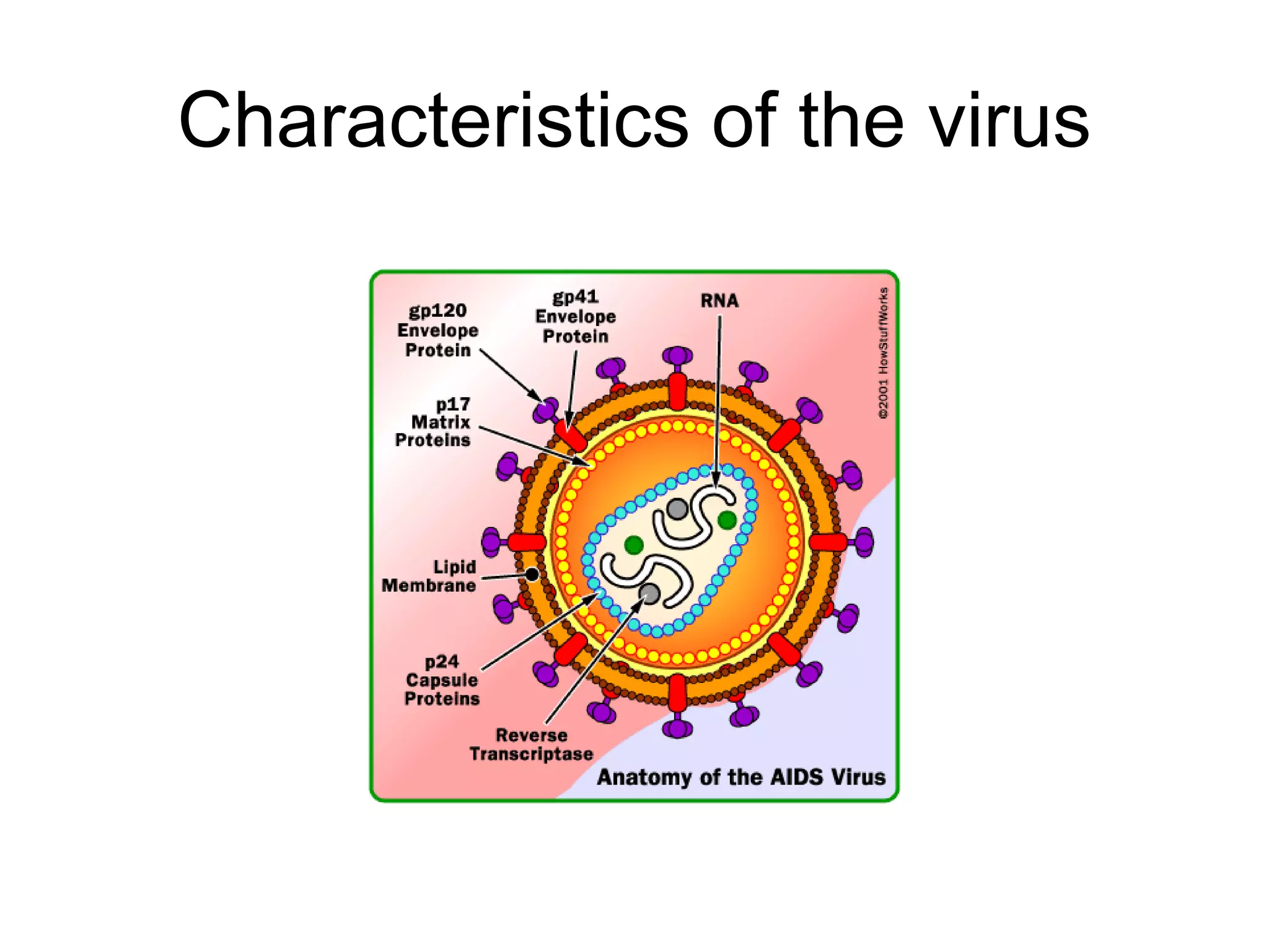 Characteristics of the virus
 