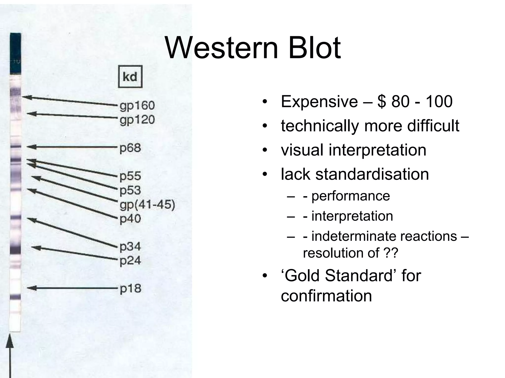 Western Blot
• Expensive – $ 80 - 100
• technically more difficult
• visual interpretation
• lack standardisation
– - performance
– - interpretation
– - indeterminate reactions –
resolution of ??
• ‘Gold Standard’ for
confirmation
 