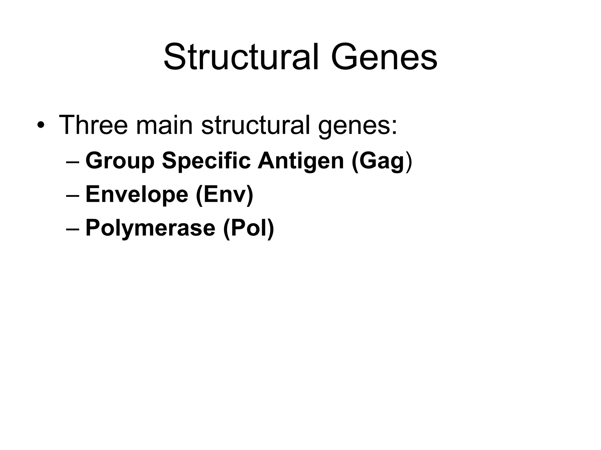 Structural Genes
• Three main structural genes:
– Group Specific Antigen (Gag)
– Envelope (Env)
– Polymerase (Pol)
 