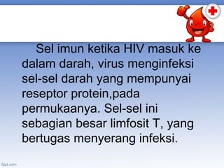 Sel imun ketika HIV masuk ke
dalam darah, virus menginfeksi
sel-sel darah yang mempunyai
reseptor protein,pada
permukaanya. Sel-sel ini
sebagian besar limfosit T, yang
bertugas menyerang infeksi.

 