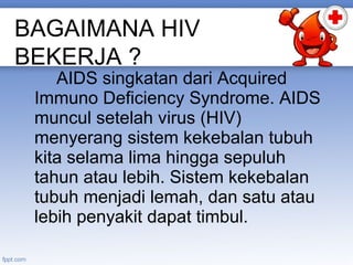 BAGAIMANA HIV
BEKERJA ?

AIDS singkatan dari Acquired
Immuno Deficiency Syndrome. AIDS
muncul setelah virus (HIV)
menyerang sistem kekebalan tubuh
kita selama lima hingga sepuluh
tahun atau lebih. Sistem kekebalan
tubuh menjadi lemah, dan satu atau
lebih penyakit dapat timbul.

 