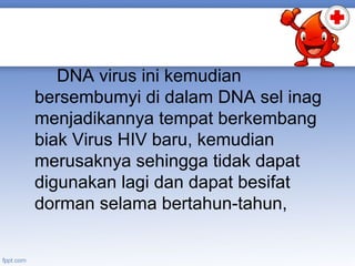 DNA virus ini kemudian
bersembumyi di dalam DNA sel inag
menjadikannya tempat berkembang
biak Virus HIV baru, kemudian
merusaknya sehingga tidak dapat
digunakan lagi dan dapat besifat
dorman selama bertahun-tahun,

 