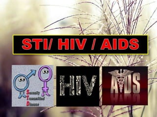 STI/HIV/AIDS | PPTX