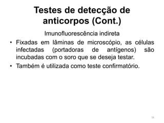 Testes de detecção de
anticorpos (Cont.)
Imunofluorescência indireta
• Fixadas em lâminas de microscópio, as células
infectadas (portadoras de antígenos) são
incubadas com o soro que se deseja testar.
• Também é utilizada como teste confirmatório.
16
 