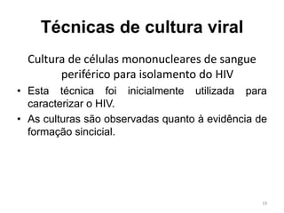 Técnicas de cultura viral
Cultura de células mononucleares de sangue
periférico para isolamento do HIV
• Esta técnica foi inicialmente utilizada para
caracterizar o HIV.
• As culturas são observadas quanto à evidência de
formação sincicial.
19
 