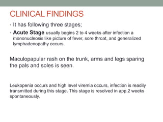 CLINICAL FINDINGS
• It has following three stages;
• Acute Stage usually begins 2 to 4 weeks after infection a
mononucleosis like picture of fever, sore throat, and generalized
lymphadenopathy occurs.
Maculopapular rash on the trunk, arms and legs sparing
the pals and soles is seen.
Leukopenia occurs and high level viremia occurs, infection is readily
transmitted during this stage. This stage is resolved in app.2 weeks
spontaneously.
 