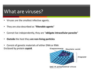Filterable Virus Identification of AIDS? And what is HIV infection and mode of ...