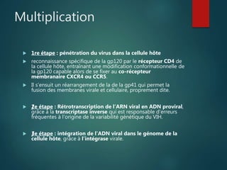 Multiplication
 1re étape : pénétration du virus dans la cellule hôte
 reconnaissance spécifique de la gp120 par le récepteur CD4 de
la cellule hôte, entraînant une modification conformationnelle de
la gp120 capable alors de se fixer au co-récepteur
membranaire CXCR4 ou CCR5.
 Il s’ensuit un réarrangement de la de la gp41 qui permet la
fusion des membranes virale et cellulaire, proprement dite.
 ƒƒ2e étape : Rétrotranscription de l’ARN viral en ADN proviral,
grâce à la transcriptase inverse qui est responsable d’erreurs
fréquentes à l’origine de la variabilité génétique du VIH.
 ƒƒ3e étape : intégration de l’ADN viral dans le génome de la
cellule hôte, grâce à l’intégrase virale.
 