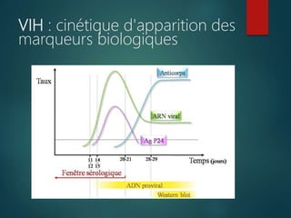 VIH : cinétique d'apparition des
marqueurs biologiques
 