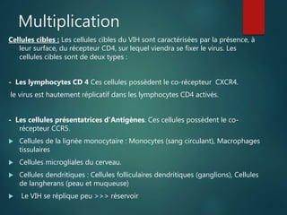 Multiplication
Cellules cibles : Les cellules cibles du VIH sont caractérisées par la présence, à
leur surface, du récepteur CD4, sur lequel viendra se fixer le virus. Les
cellules cibles sont de deux types :
- Les lymphocytes CD 4 Ces cellules possèdent le co-récepteur CXCR4.
le virus est hautement réplicatif dans les lymphocytes CD4 activés.
- Les cellules présentatrices d’Antigènes. Ces cellules possèdent le co-
récepteur CCR5.
 Cellules de la lignée monocytaire : Monocytes (sang circulant), Macrophages
tissulaires
 Cellules microgliales du cerveau.
 Cellules dendritiques : Cellules folliculaires dendritiques (ganglions), Cellules
de langherans (peau et muqueuse)
 Le VIH se réplique peu >>> réservoir
 