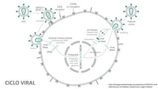 CICLO VIRAL http://biology.stackexchange.com/questions/23353/hiv-and-
effectiveness-of-inhibitor-cocktail-over-single-inhibitor
 