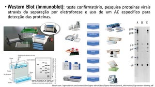 • Western Blot (Immunoblot): teste confirmatório, pesquisa proteínas virais
através da separação por eletroforese e uso de um AC especifico para
detecção das proteínas.
Abcam.com / sigmaaldrich.com/content/dam/sigma-aldrich/docs/Sigma-Aldrich/General_Information/1/ge-western-blotting.pdf
 