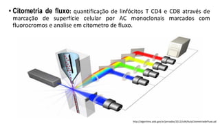 • Citometria de fluxo: quantificação de linfócitos T CD4 e CD8 através de
marcação de superfície celular por AC monoclonais marcados com
fluorocromos e analise em citometro de fluxo.
http://algoritmo.aids.gov.br/jornadas/2012/cd4/AulaCitometriadeFluxo.pd
 