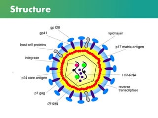 aids virus diagram