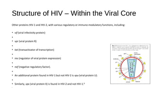 Structure of HIV – Within the Viral Core
Other proteins HIV-1 and HIV-2, with various regulatory or immuno-modulatory functions, including:
• vif (viral infectivity protein)
•
• vpr (viral protein R)
•
• tat (transactivator of transcription)
•
• rev (regulator of viral protein expression)
•
• nef (negative regulatory factor).
•
• An additional protein found in HIV-1 but not HIV-2 is vpu (viral protein U).
•
• Similarly, vpx (viral protein X) is found in HIV-2 and not HIV-1.6
•
 