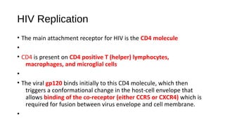 HIV Replication
• The main attachment receptor for HIV is the CD4 molecule
•
• CD4 is present on CD4 positive T (helper) lymphocytes,
macrophages, and microglial cells
•
• The viral gp120 binds initially to this CD4 molecule, which then
triggers a conformational change in the host-cell envelope that
allows binding of the co-receptor (either CCR5 or CXCR4) which is
required for fusion between virus envelope and cell membrane.
•
 