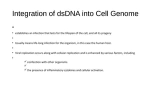 Integration of dsDNA into Cell Genome
•
• establishes an infection that lasts for the lifespan of the cell, and all its progeny
•
• Usually means life-long infection for the organism, in this case the human host.
•
• Viral replication occurs along with cellular replication and is enhanced by various factors, including
•
ü coinfection with other organisms
ü
ü the presence of inflammatory cytokines and cellular activation.
 
