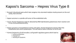 Kaposi’s Sarcoma – Hepres Virus Type 8
• Bruised / discolored spots which later progress into ulcerated nodules mostly present on the oral
cavity, face and skin.
•
• Kaposi sarcoma is a spindle cell tumor of the endothelial cells.
• Cause: Human herpesvirus type 8: detected by DNA hybridization,polymerase chain reaction and
in situ immunohistochemistry.
•
• Kaposi sarcoma is transmitted via semen and saliva. Human herpesvirus 8 may infect the
endothelial cells and B lymphocytes. This will lead to latent infection of the B cells.
• Human herpesvirus 8 will encodes a cell growth regulatory genes which lead to:
ü cellular proliferation
ü Angiogenesis
ü blocking the apoptosis.
•
 