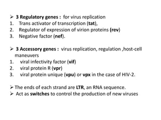  3 Regulatory genes : for virus replication
1. Trans activator of transcription (tat),
2. Regulator of expression of virion proteins (rev)
3. Negative factor (nef).
 3 Accessory genes : virus replication, regulation ,host-cell
maneuvers
1. viral infectivity factor (vif)
2. viral protein R (vpr)
3. viral protein unique (vpu) or vpx in the case of HIV-2.
The ends of each strand are LTR, an RNA sequence.
 Act as switches to control the production of new viruses
 
