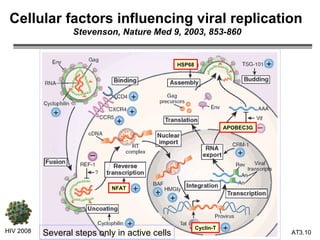 Cellular factors influencing viral replication   Stevenson, Nature Med 9, 2003, 853-860 HIV 2008 3.   APOBEC3G NFAT Cyclin-T HSP68 Several steps only in active cells 