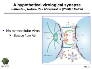 A hypothetical virological synapse Sattentau, Nature Rev Microbiol. 6 (2008) 815-826 No extracellular virus Escape from Ab HIV 2008 3.   