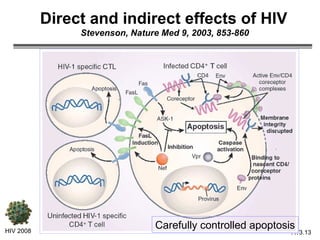 Direct and indirect effects of HIV   Stevenson, Nature Med 9, 2003, 853-860 HIV 2008 3.   Carefully controlled apoptosis 