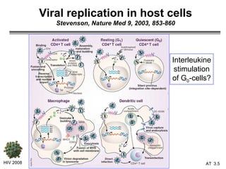 Viral replication in host cells Stevenson, Nature Med 9, 2003, 853-860 HIV 2008 3.   Interleukine stimulation of G 0 -cells? 